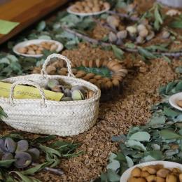 Exposición sobre variedades de almendra / Exposició sobre varietats d'ametla