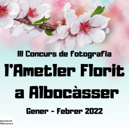 La belleza de los almendros en flor de Albocàsser a concurso